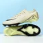 T19 Beige FG